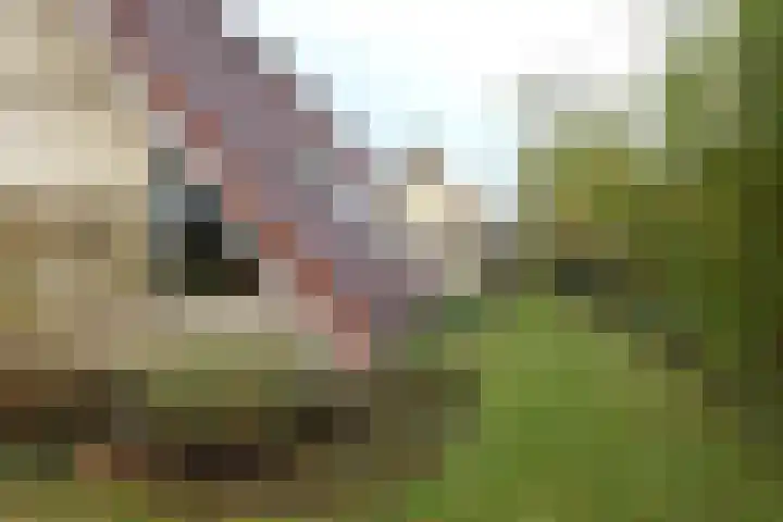 Dotterbloem 1 Zuidhorn thumbnail 22