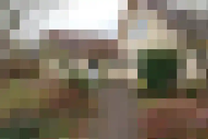 Dotterbloem 1 Zuidhorn thumbnail 25