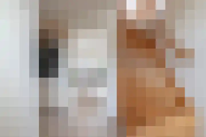 Dotterbloem 1 Zuidhorn thumbnail 33