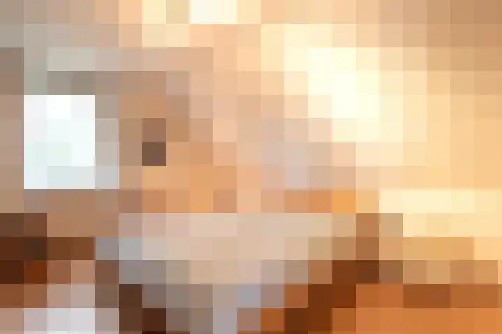 Dotterbloem 1 Zuidhorn thumbnail 35