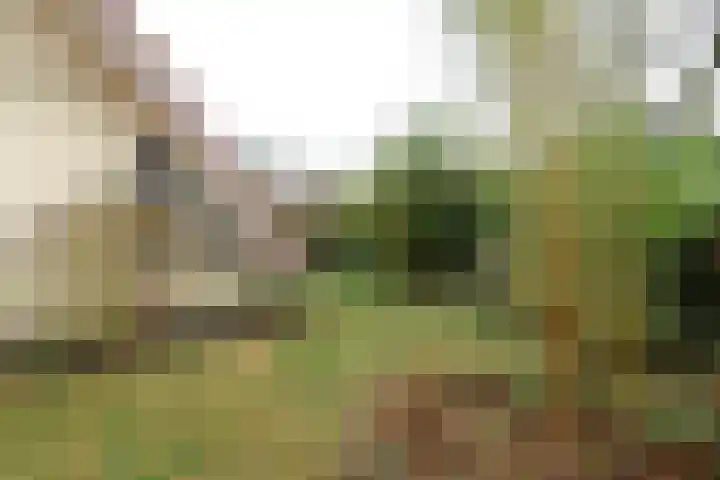 Dotterbloem 1 Zuidhorn thumbnail 44