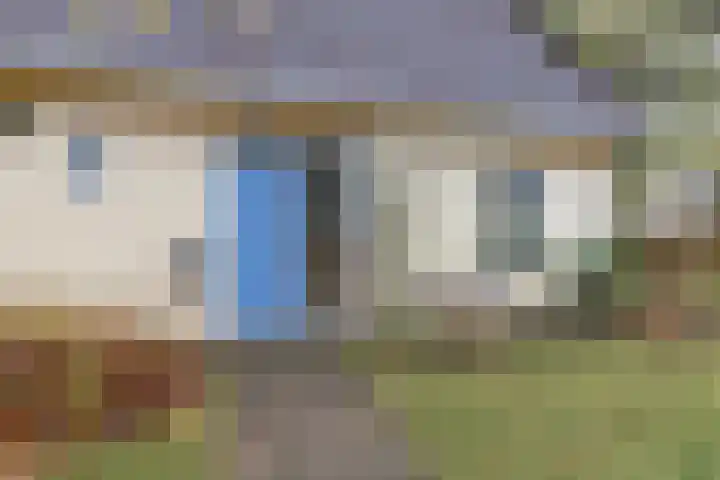 Dotterbloem 1 Zuidhorn thumbnail 8