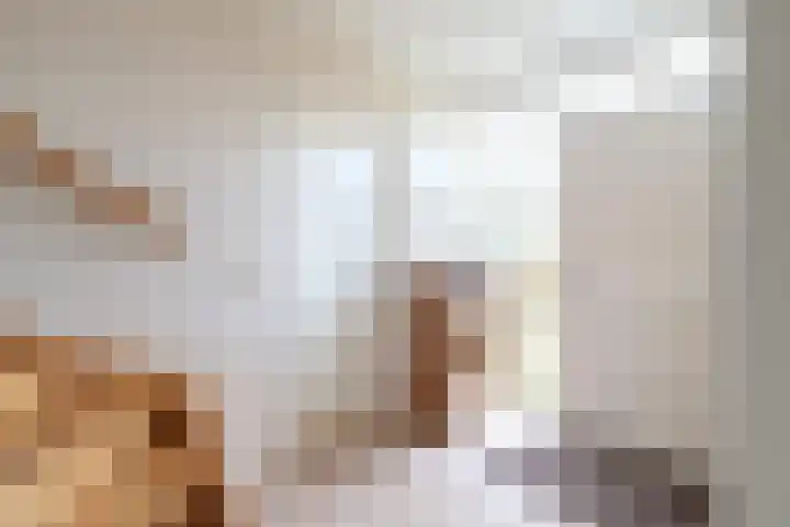 Dotterbloem 1 Zuidhorn thumbnail 9