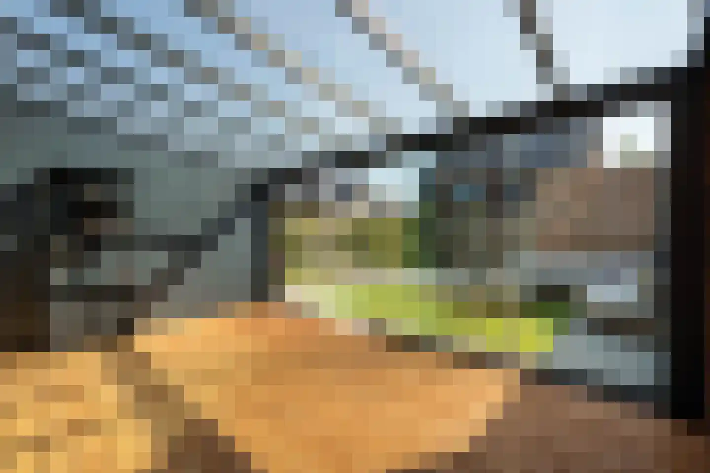 Dotterbloem 10 Bergen op Zoom thumbnail 10