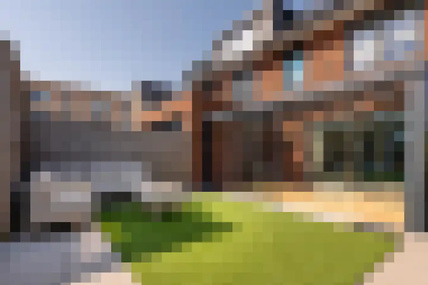 Dotterbloem 10 Bergen op Zoom thumbnail 34