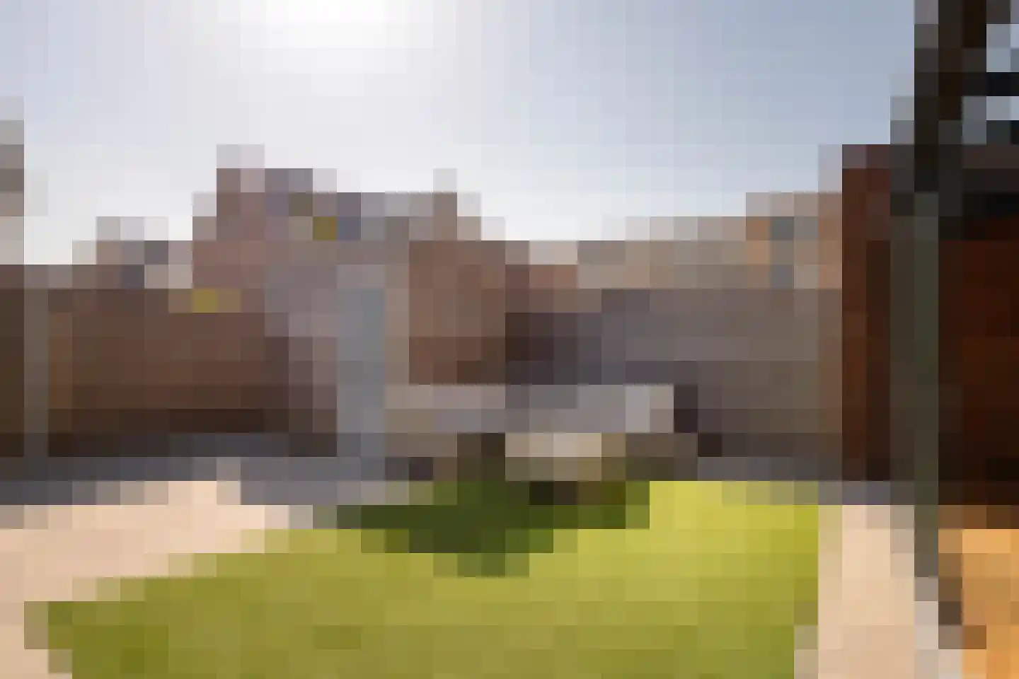 Dotterbloem 10 Bergen op Zoom thumbnail 35