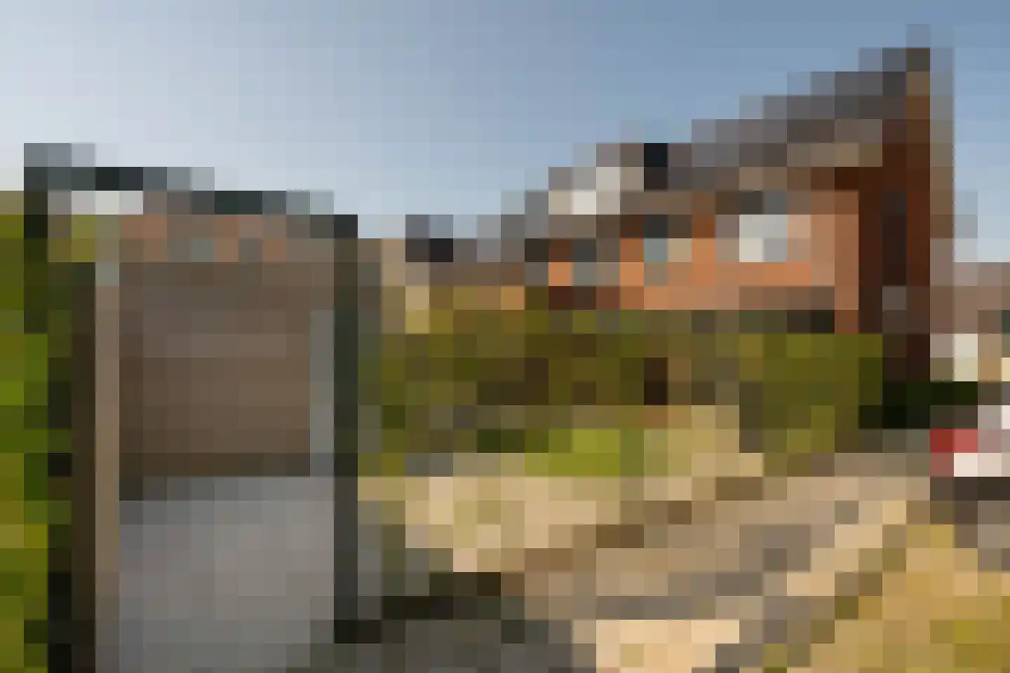 Dotterbloem 10 Bergen op Zoom thumbnail 36