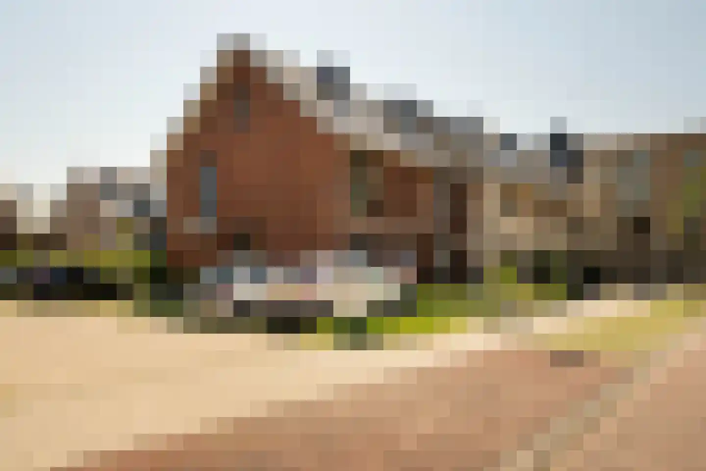 Dotterbloem 10 Bergen op Zoom thumbnail 38