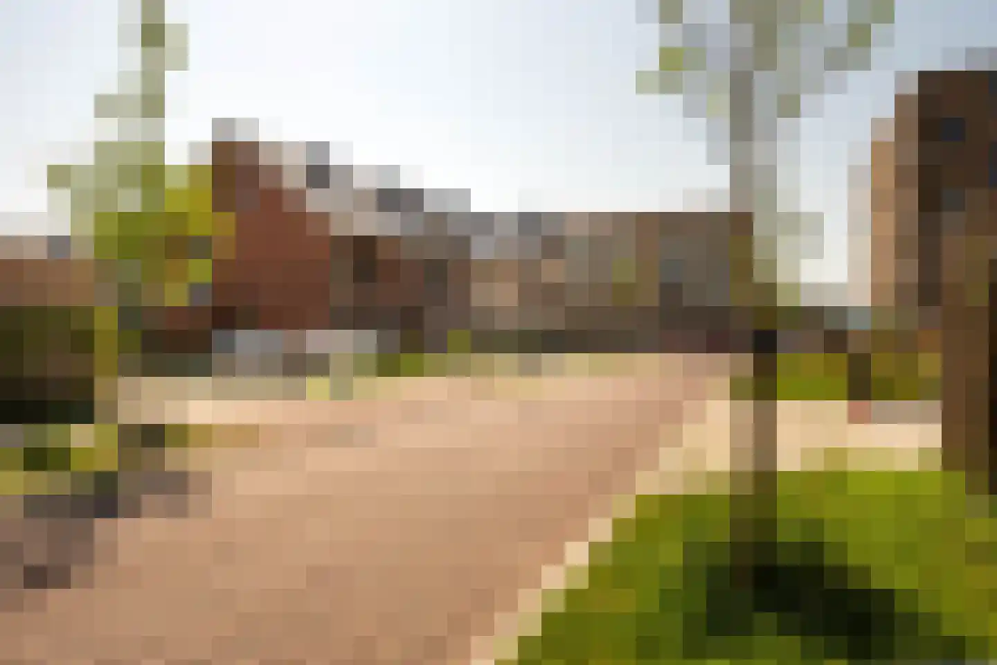 Dotterbloem 10 Bergen op Zoom thumbnail 41