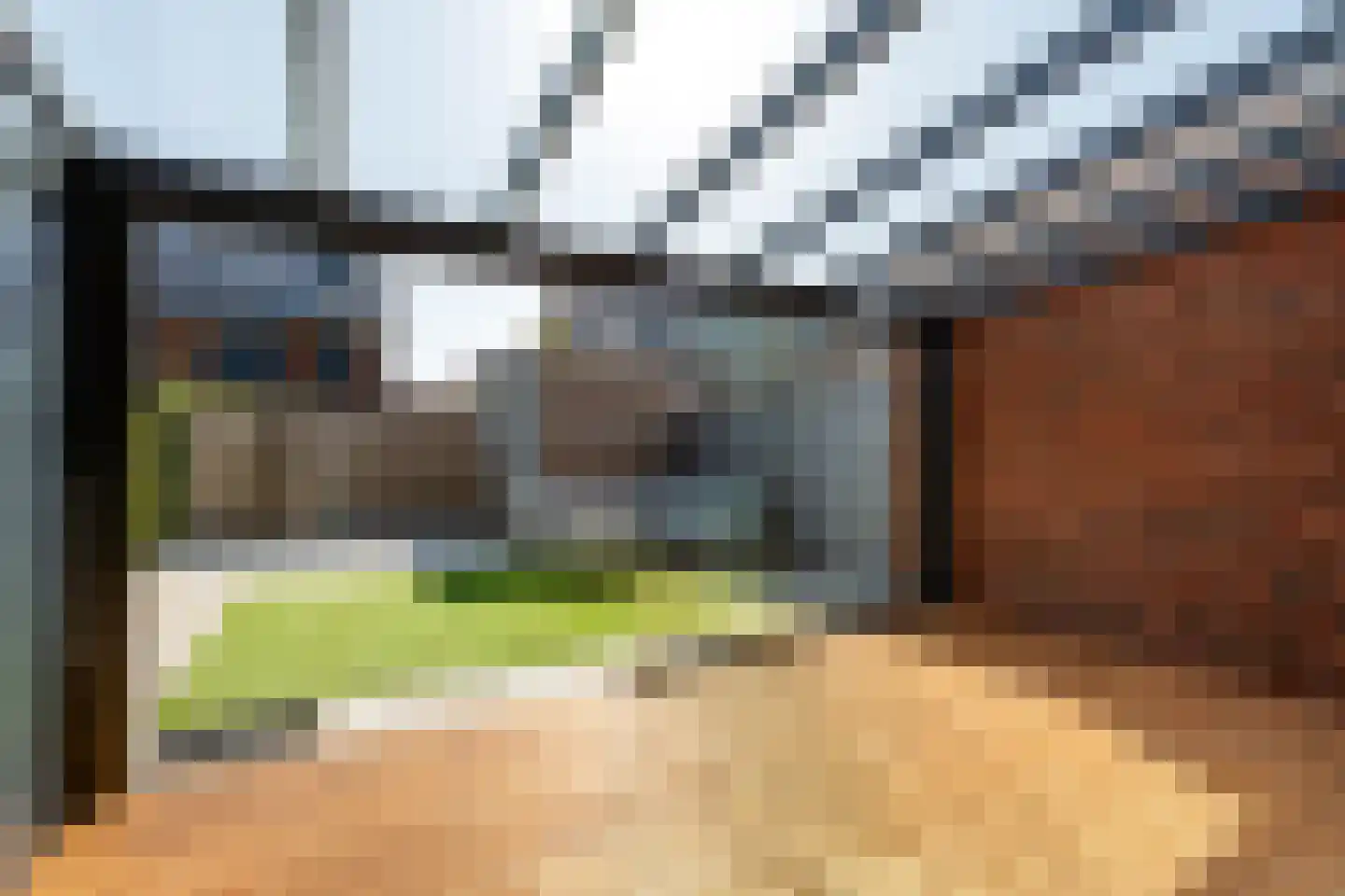 Dotterbloem 10 Bergen op Zoom thumbnail 9