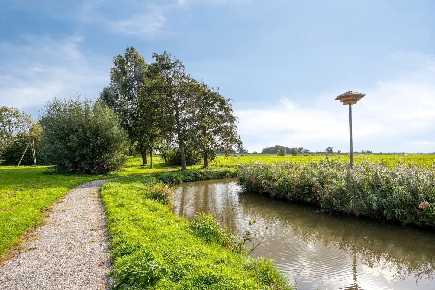 Dotterbloem 10 Leidschendam thumbnail 55