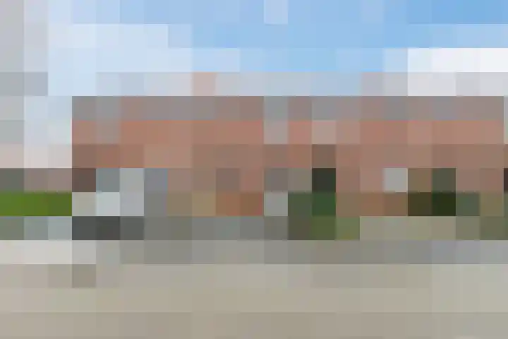 Dotterbloem 12 dans Uitgeest