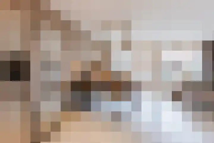 Dotterbloem 12 Uitgeest thumbnail 10