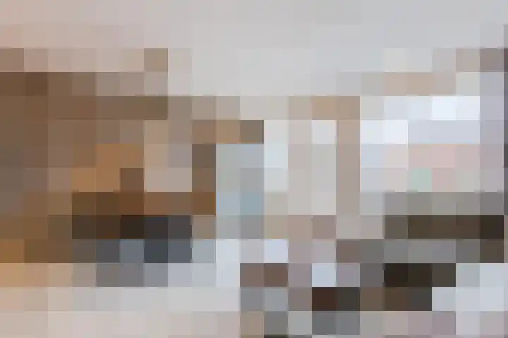 Dotterbloem 12 Uitgeest thumbnail 13