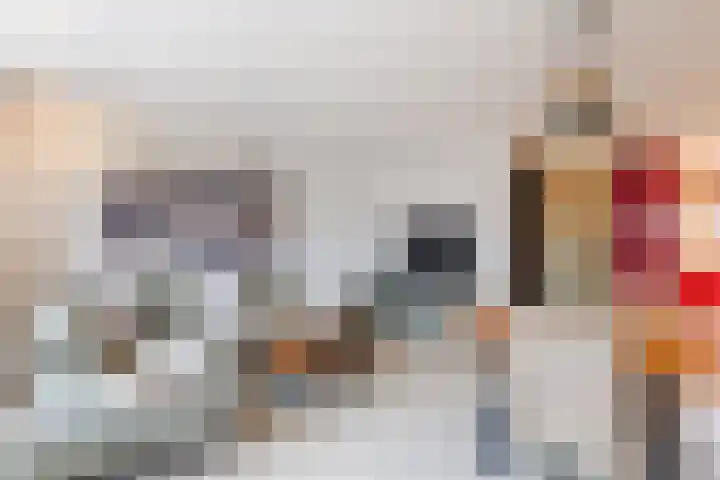 Dotterbloem 12 Uitgeest thumbnail 14