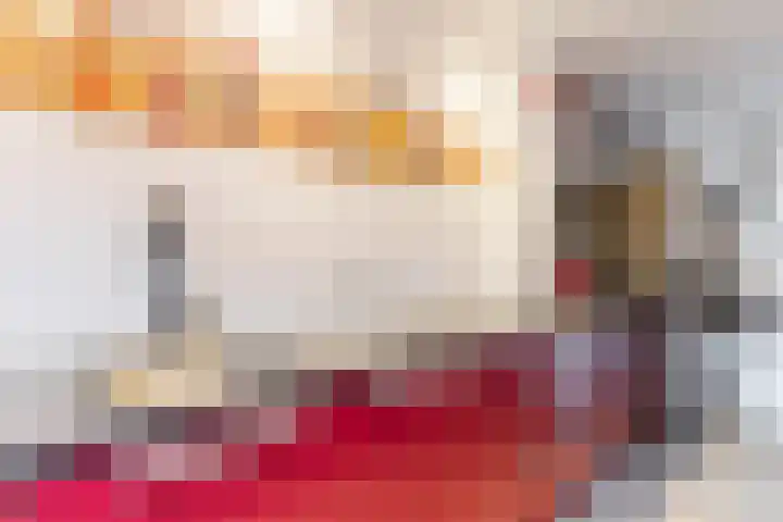Dotterbloem 12 Uitgeest thumbnail 17