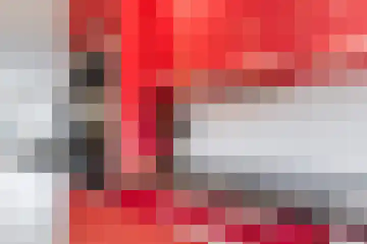 Dotterbloem 12 Uitgeest thumbnail 18