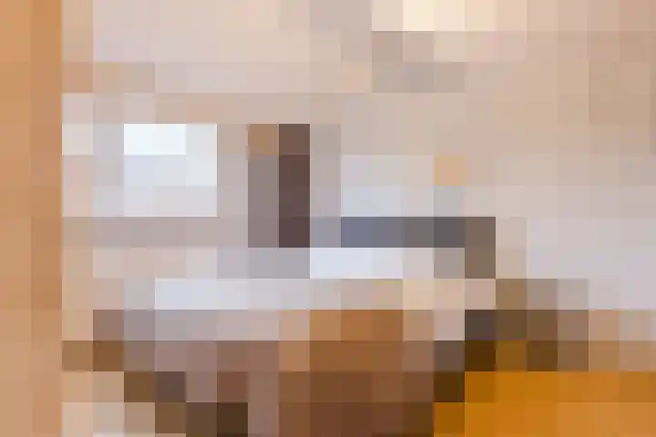 Dotterbloem 12 Uitgeest thumbnail 19