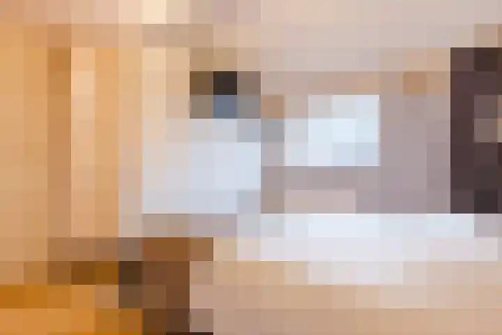 Dotterbloem 12 Uitgeest thumbnail 20