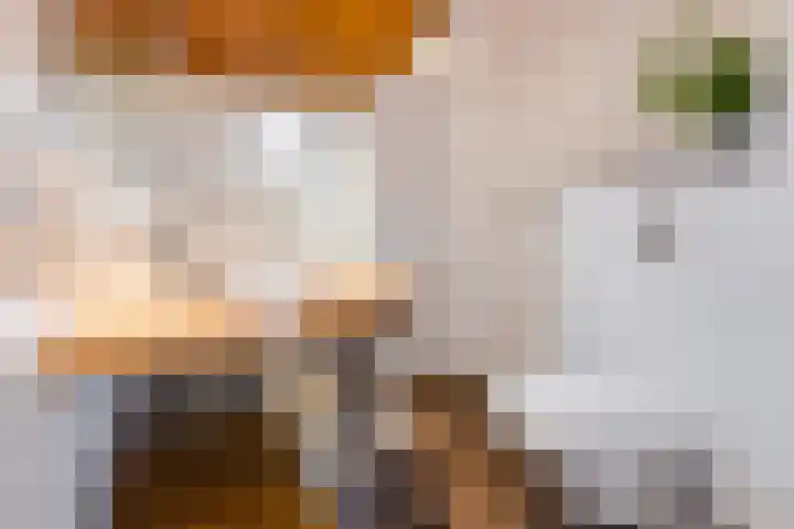 Dotterbloem 12 Uitgeest thumbnail 28