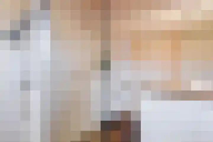 Dotterbloem 12 Uitgeest thumbnail 29