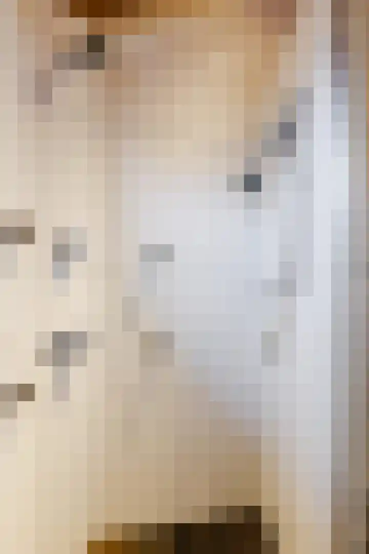 Dotterbloem 12 Uitgeest thumbnail 30