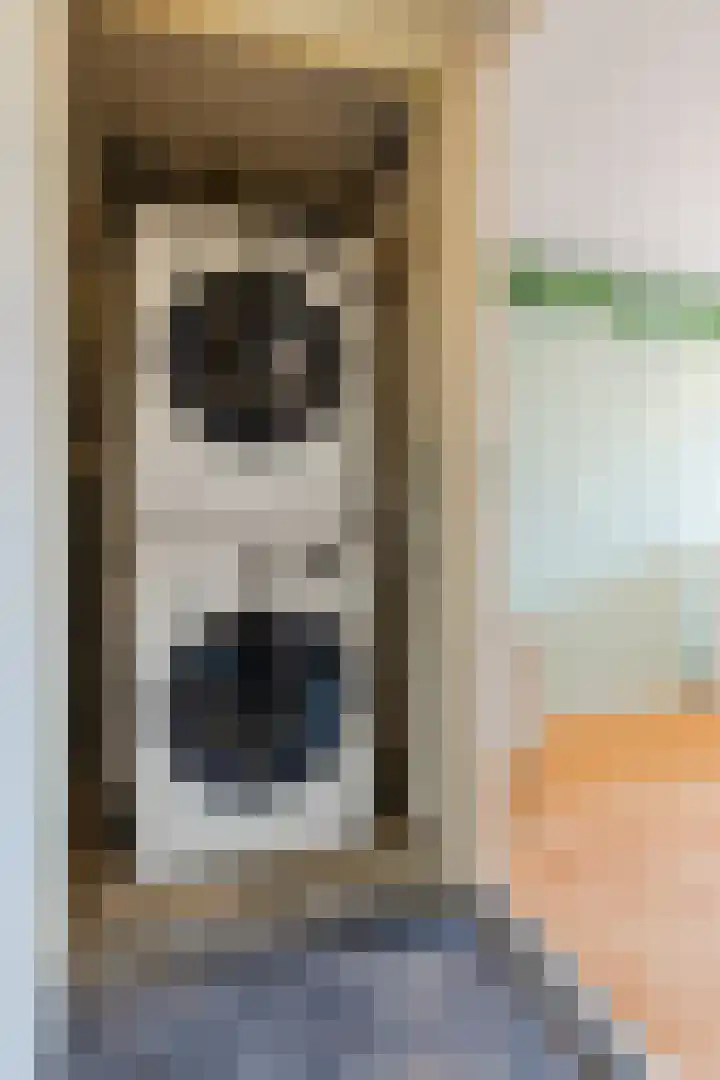 Dotterbloem 12 Uitgeest thumbnail 32