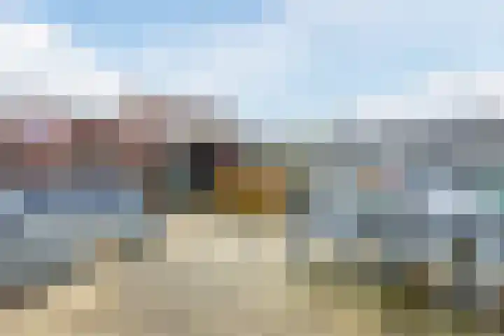 Dotterbloem 12 Uitgeest thumbnail 34