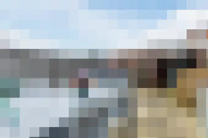 Dotterbloem 12 Uitgeest thumbnail 35