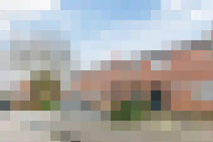 Dotterbloem 12 Uitgeest thumbnail 38