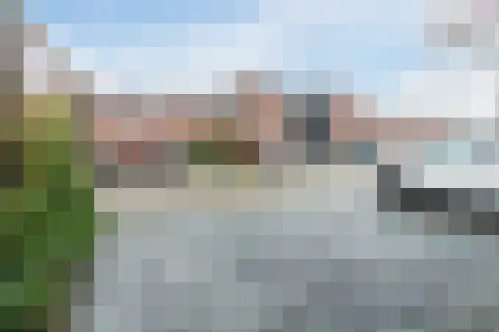 Dotterbloem 12 Uitgeest thumbnail 39