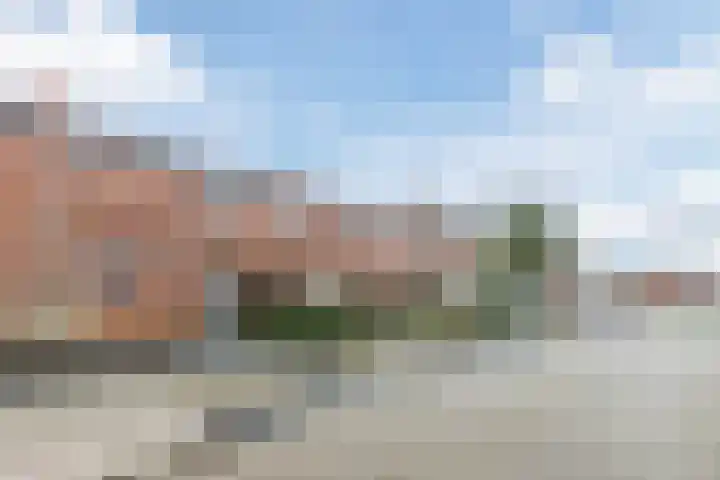 Dotterbloem 12 Uitgeest thumbnail 4