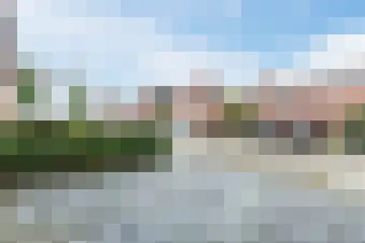 Dotterbloem 12 Uitgeest thumbnail 40