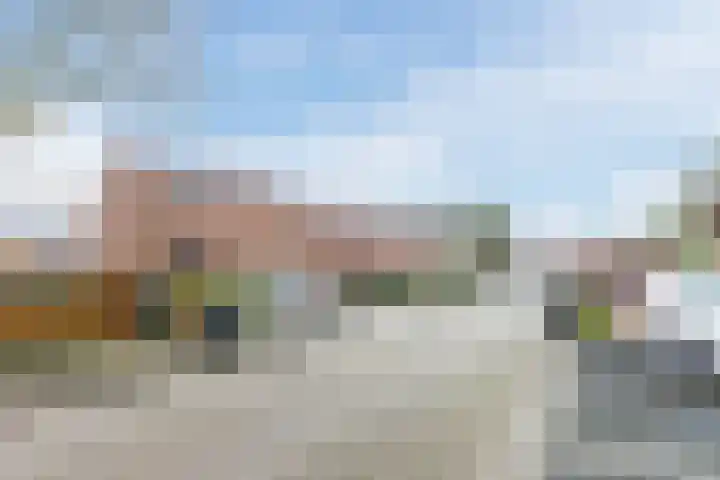 Dotterbloem 12 Uitgeest thumbnail 41