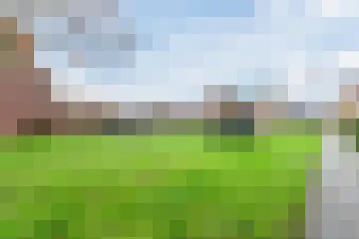 Dotterbloem 12 Uitgeest thumbnail 42