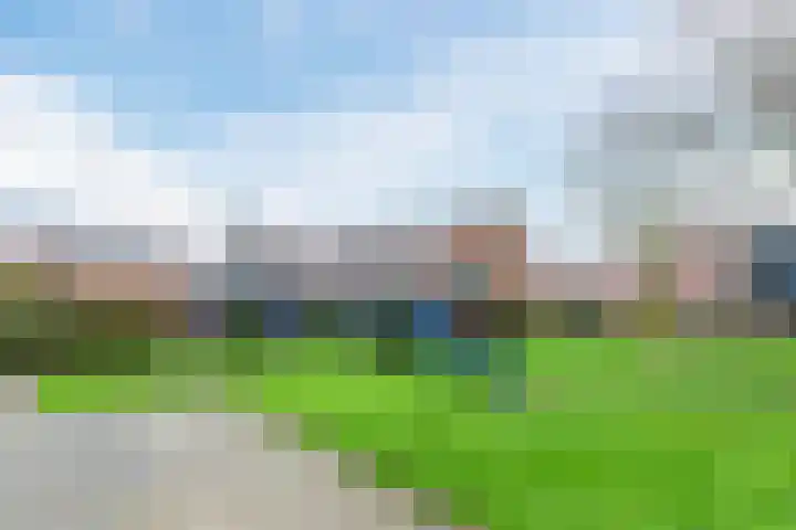Dotterbloem 12 Uitgeest thumbnail 43
