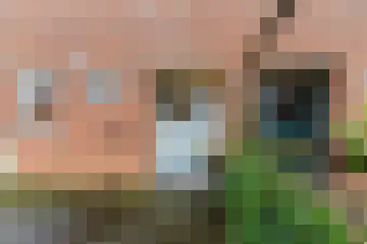 Dotterbloem 12 Uitgeest thumbnail 5
