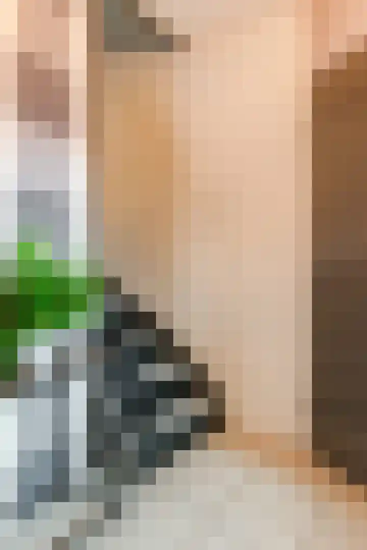 Dotterbloem 12 Uitgeest thumbnail 8
