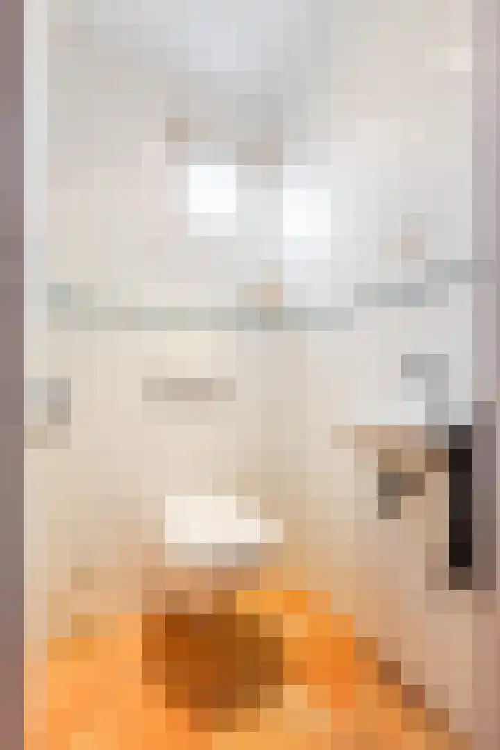 Dotterbloem 12 Uitgeest thumbnail 9