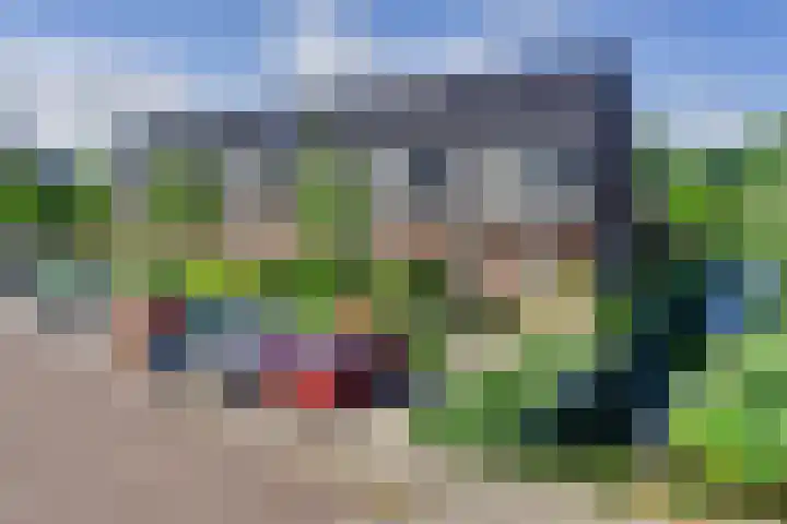 Dotterbloem 13 Streefkerk thumbnail 10