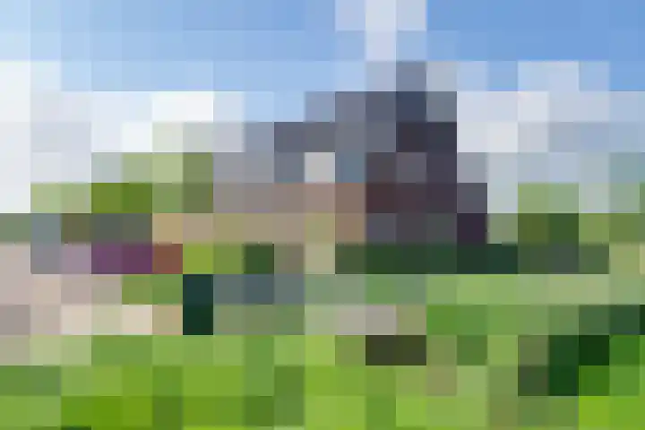 Dotterbloem 13 Streefkerk thumbnail 11