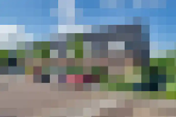 Dotterbloem 13 Streefkerk thumbnail 12