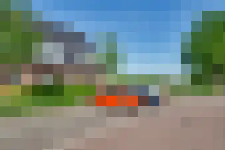 Dotterbloem 13 Streefkerk thumbnail 13