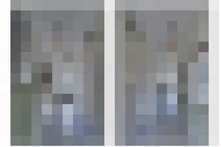 Dotterbloem 13 Streefkerk thumbnail 15