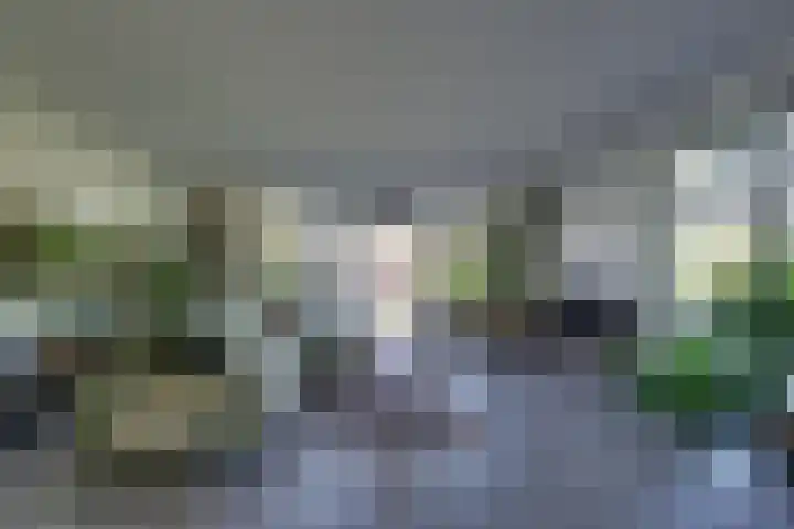 Dotterbloem 13 Streefkerk thumbnail 16