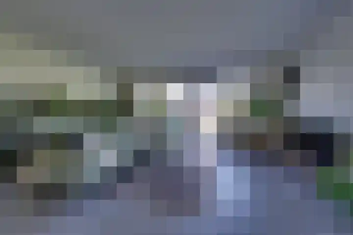Dotterbloem 13 Streefkerk thumbnail 17