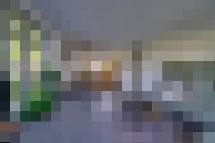 Dotterbloem 13 Streefkerk thumbnail 18