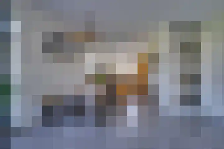Dotterbloem 13 Streefkerk thumbnail 19