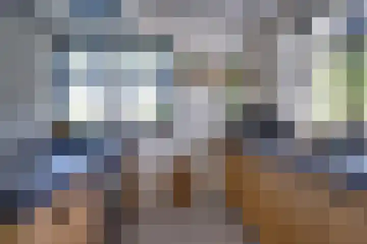 Dotterbloem 13 Streefkerk thumbnail 22