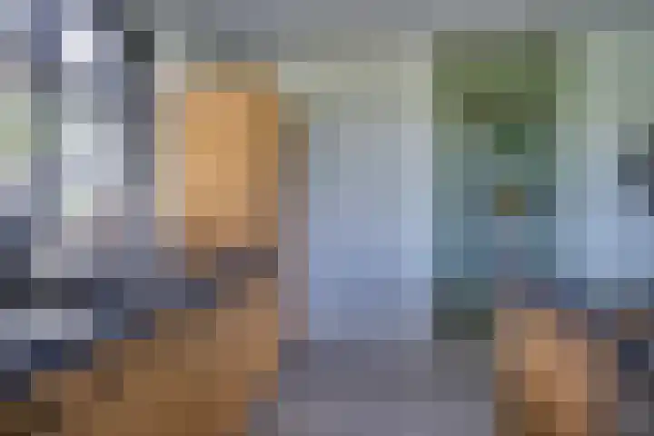 Dotterbloem 13 Streefkerk thumbnail 23